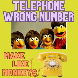 Telephone Wrong Number