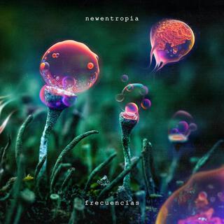 Newentropia lyrics | Boomplay Music