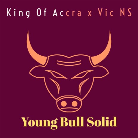 Young Bull Solid ft. Vic NS