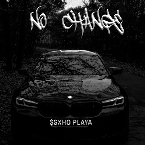 No Change | Boomplay Music