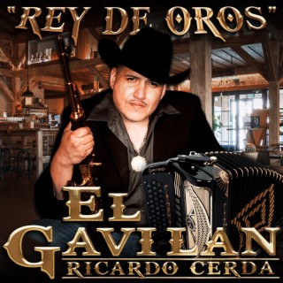 Rey de Oros