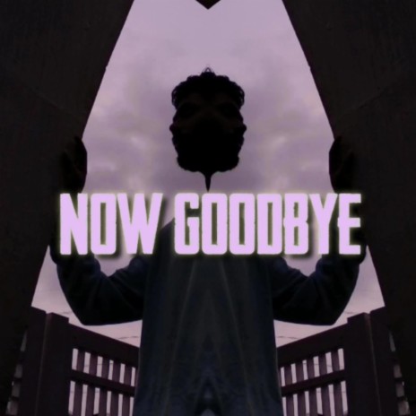 Now Goodbye | Boomplay Music