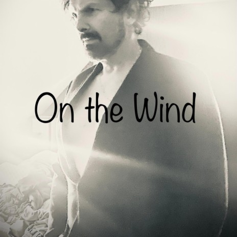 On the Wind | Boomplay Music
