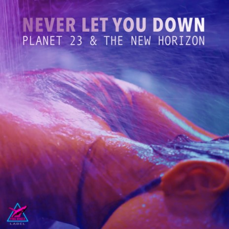 Never Let You Down ft. The New Horizon | Boomplay Music