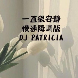 一直很安静-慢速降調版DJ PATRICIA