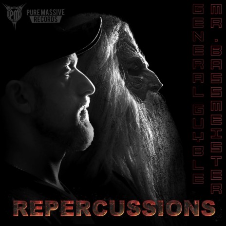 Repercussions ft. Mr. Bassmeister | Boomplay Music