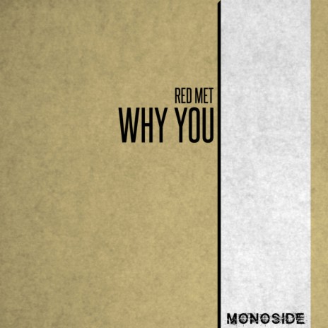 Why You | Boomplay Music