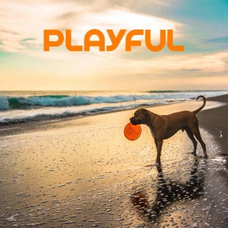 Dhyan ft. Sounds Dogs Love & Dog Music Club | Boomplay Music