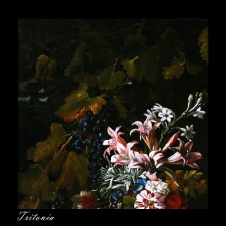 Tritonia