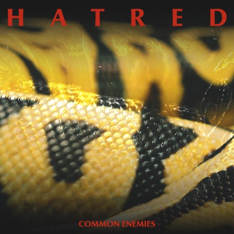 Hatred