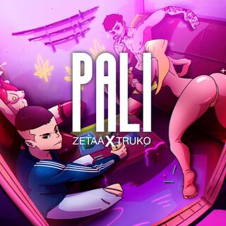 PALI ft. ZETAA lyrics | Boomplay Music