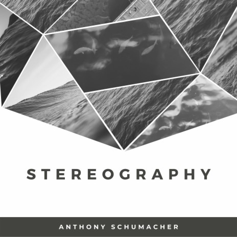 Stereography | Boomplay Music