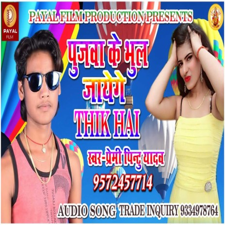 Poojawa Ke Bhool Jayenge Thik Hai (Bhojpuri Song) | Boomplay Music