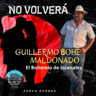 Guillermo Bohe Maldonado