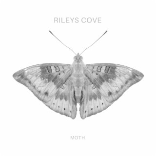 RILEYS COVE