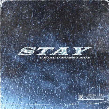 Stay (Album Version) | Boomplay Music