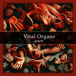 Vital Organs