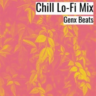 Chill Lo-Fi Mix