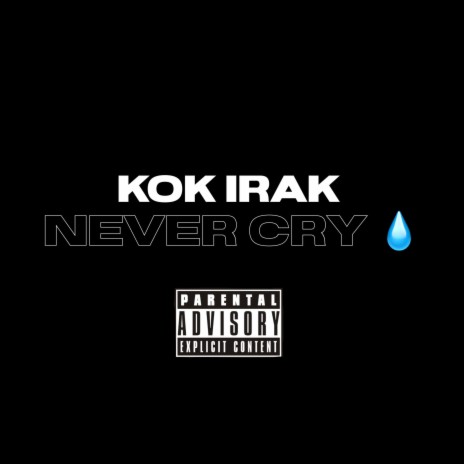 Never Cry | Boomplay Music