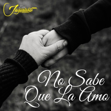 No Sabe Que La Amo | Boomplay Music