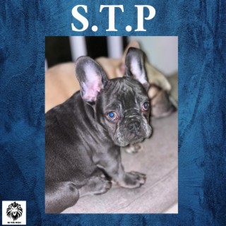 S.T.P ep