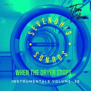 When The Dryer Stops ... Instrumentals, Vol. 28