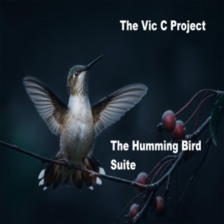 The Humming Bird Suite