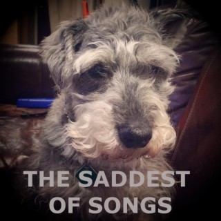 The Saddest of Songs (Single Version)