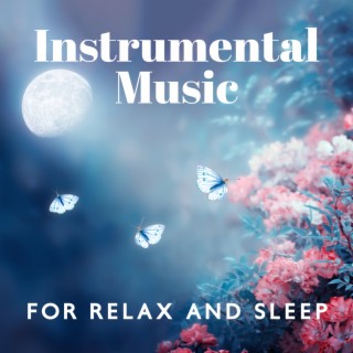 Instrumental Music For Relax And Sleep