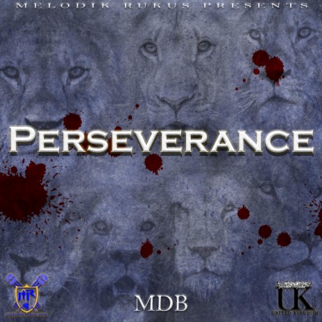 Perseverance | Boomplay Music