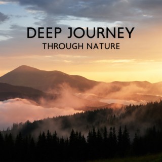 Deep Journey Through Nature