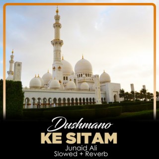 Dushmano Ke Sitam Lofi