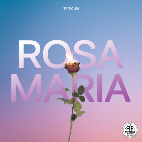 ROSA MARIA | Boomplay Music