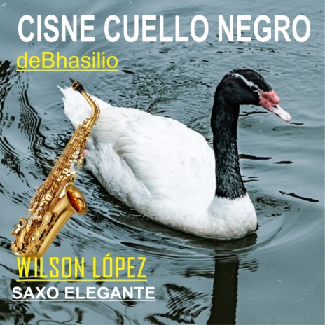 Cisne cuello negro /deBhasilio | Boomplay Music