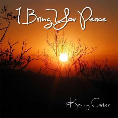 I Bring You Peace | Boomplay Music