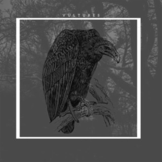 Vultures (feat. Q Dawg)