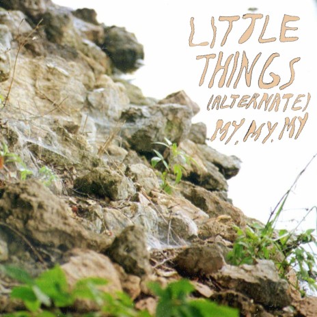 Little Things (Alternate) | Boomplay Music