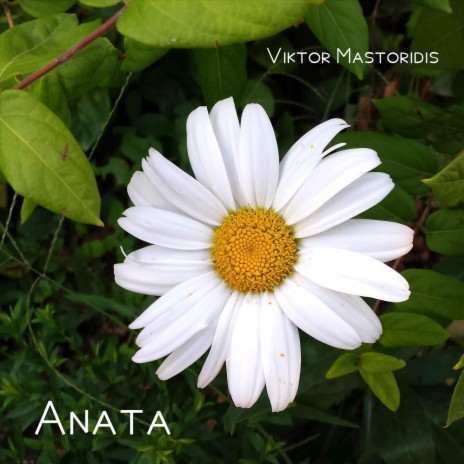 Anata | Boomplay Music