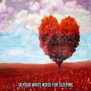 18 Your White Noise For Sleeping