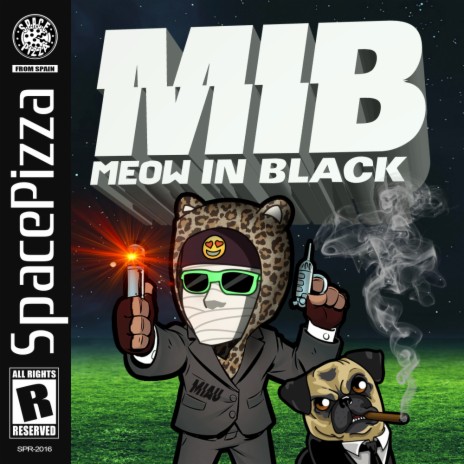 Meow In Black! (Original Mix)