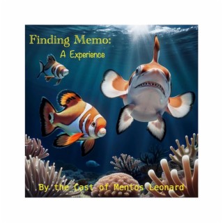 Finding Memo