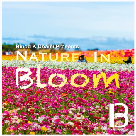 Nature In Bloom | Boomplay Music