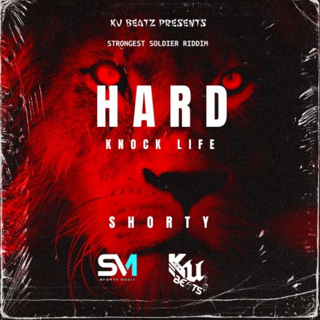 Hard Knock Life | Boomplay Music