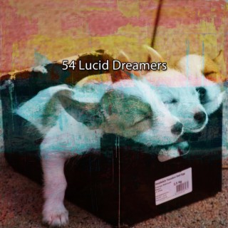 54 Lucid Dreamers