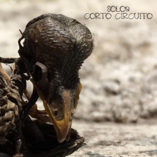 Corto Circuito lyrics | Boomplay Music