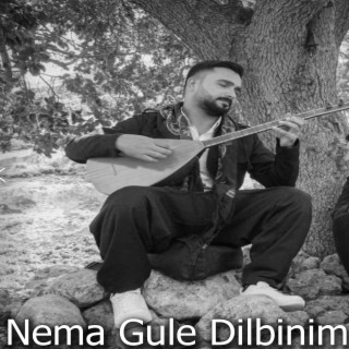 Metin Sönmez Nema Gule Dilbinim