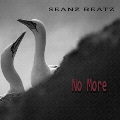 No More ft. Ma'cherie & Tohxyn