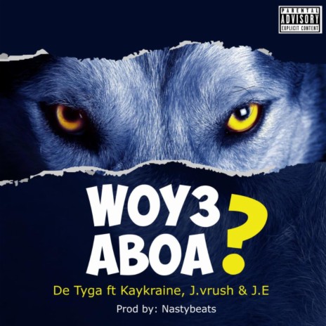 Wo Y3 Aboa? ft. NastyBeats, Dolla, JE4555 & J. Vrush | Boomplay Music