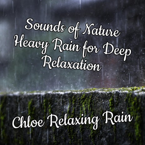 Calming Morning Rain for Anxiety Reduction
