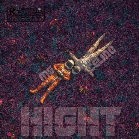 Hight Level | Boomplay Music